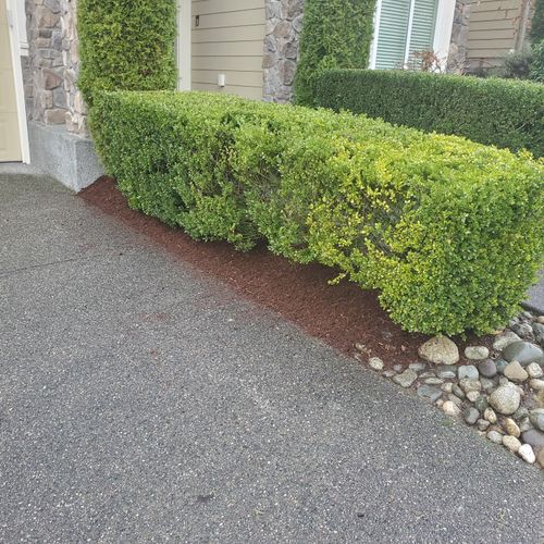 America Landscaping Lynnwood, WA Thumbtack