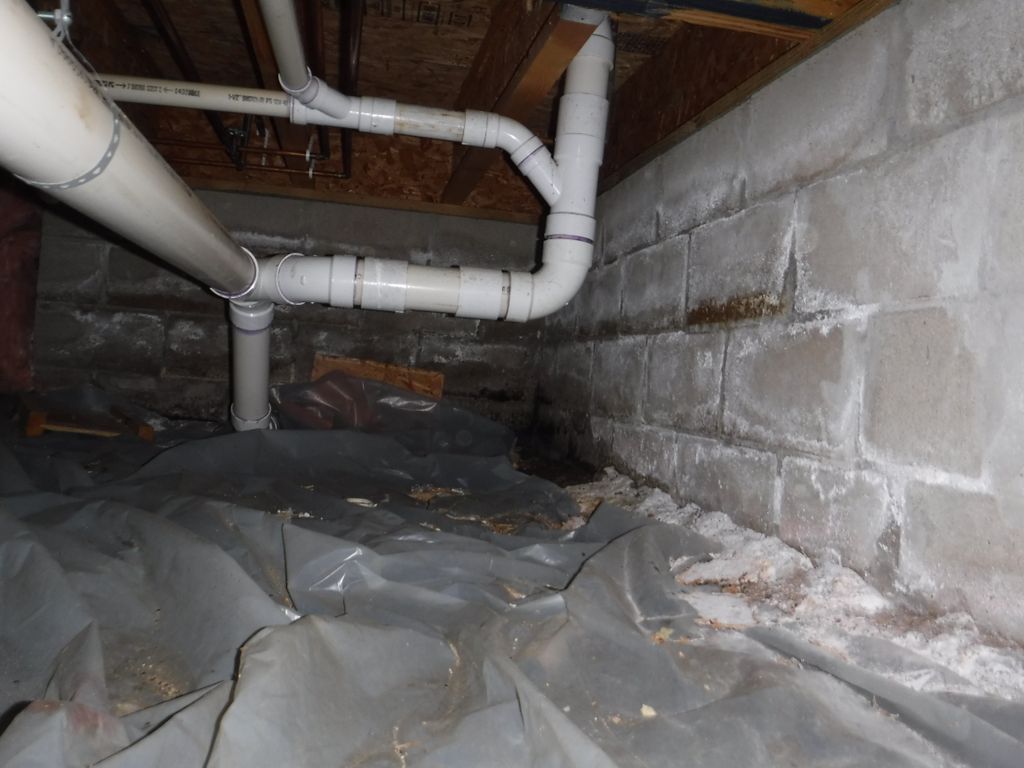 Before picture of a moldy crawlspace with a bad va