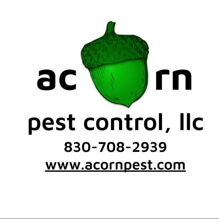 acorn pest control