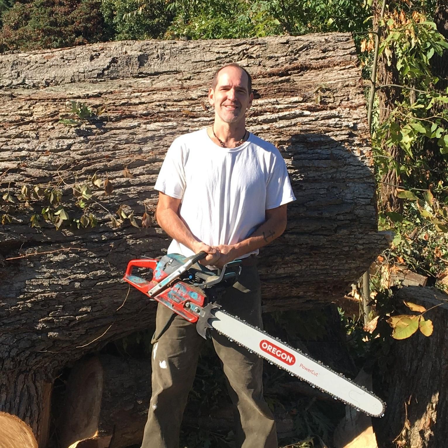 Tree Fellers Kalamazoo, MI Thumbtack