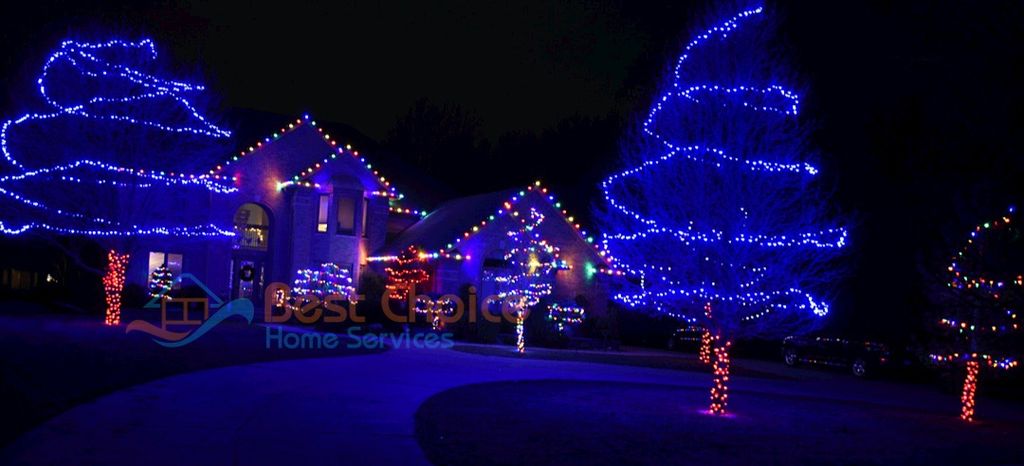 Multi color Dreams in Shelby Twp, Mi