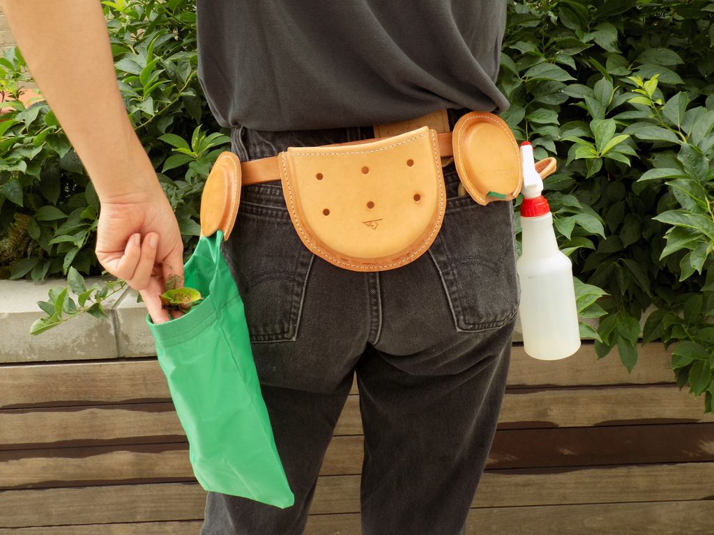 Specialty tool belt for plant care.