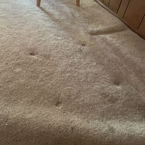 Kenny’s Carpet Care San Antonio, TX Thumbtack