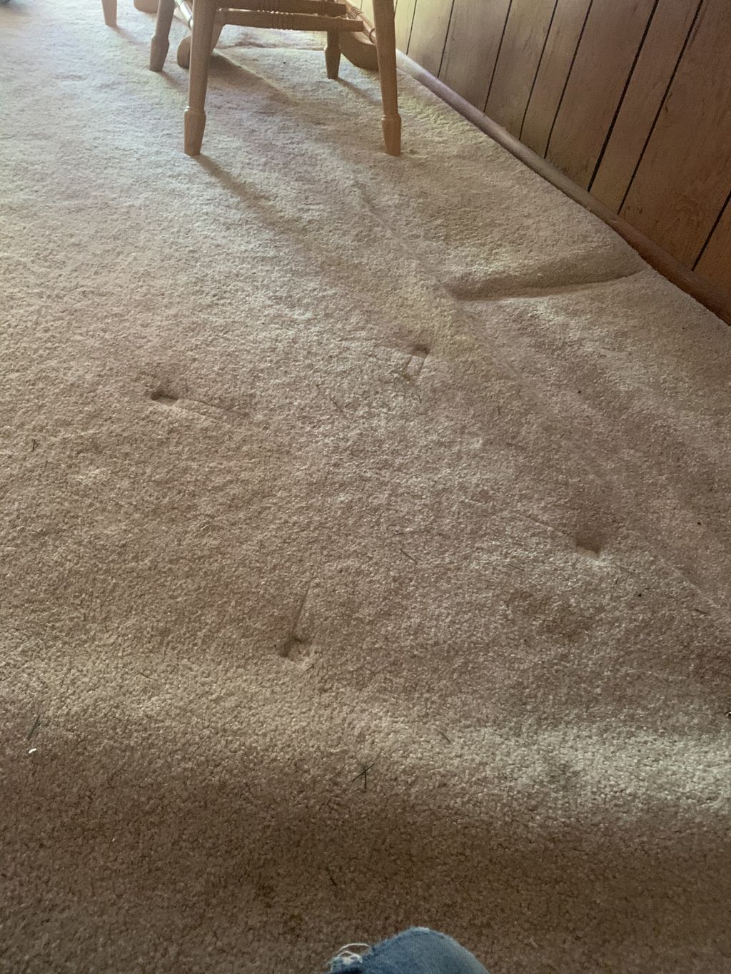 Carpet Repair or Partial Replacement