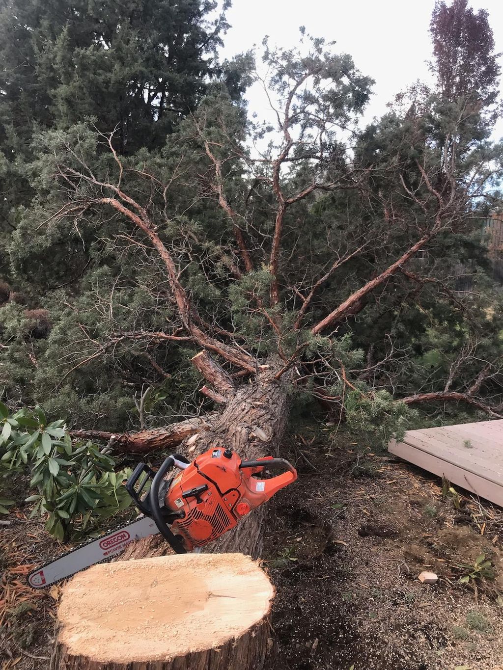 Dropping a Juniper