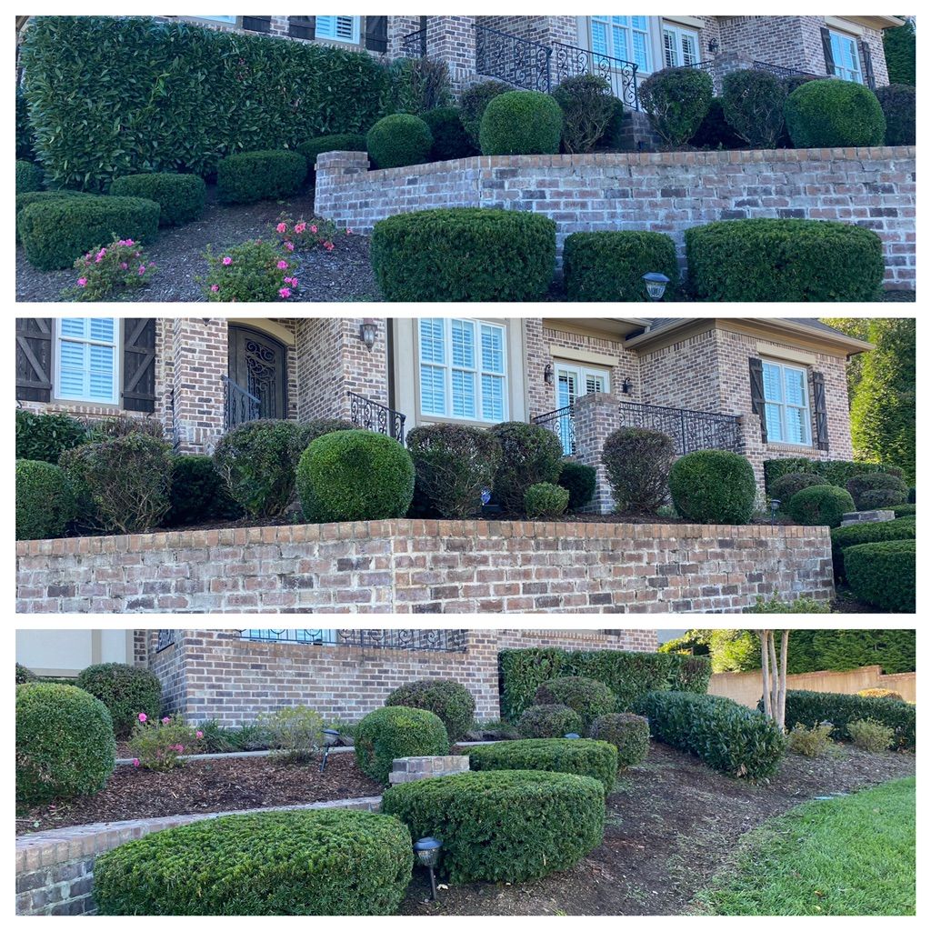 Hedgetrimming in Brentwood, TN