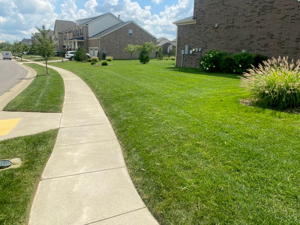 Lawncare in Nolensville, TN