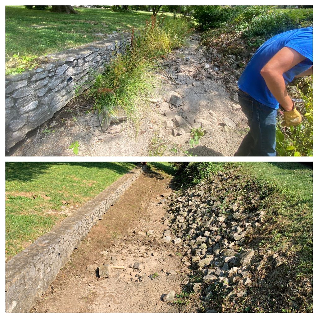 Brush removal in Nashville, TN