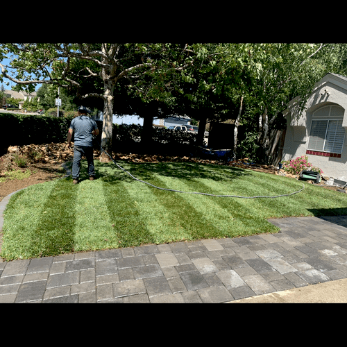 Sod Installation