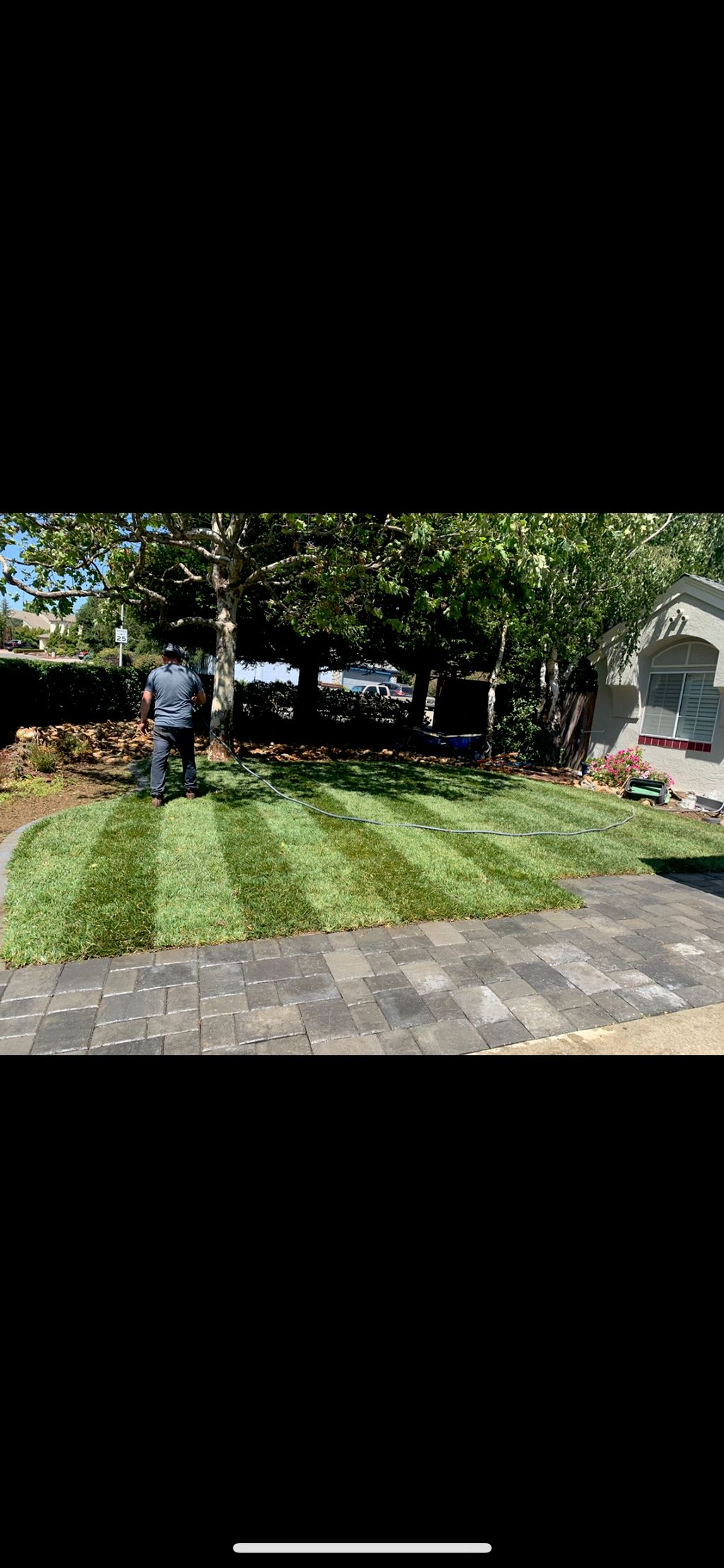 Sod Installation