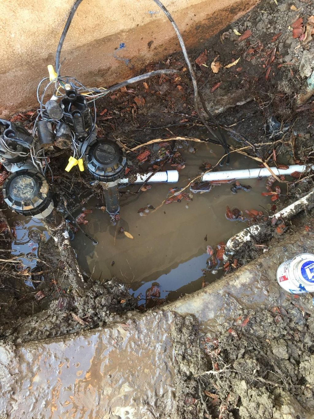valve repair