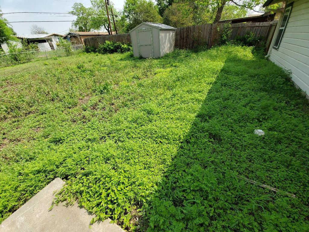 Backyard Before