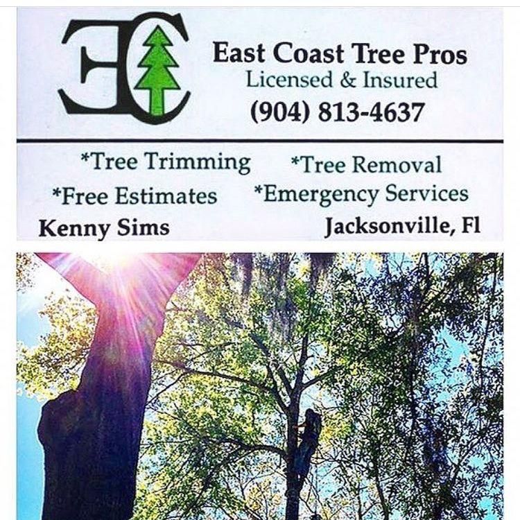 East Coast Tree Pros