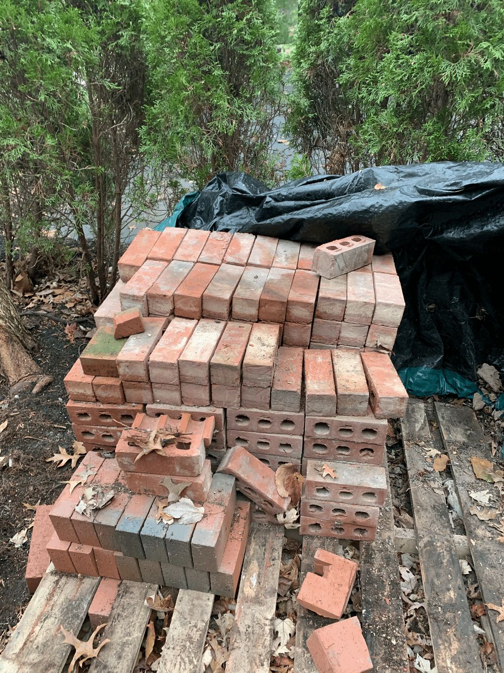 Brick Pile Haul Before