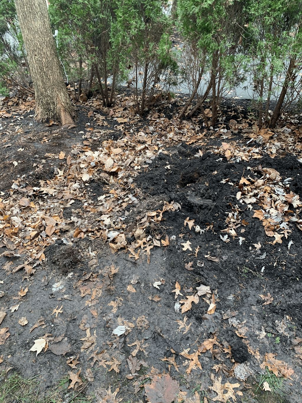 Brick Pile Haul After