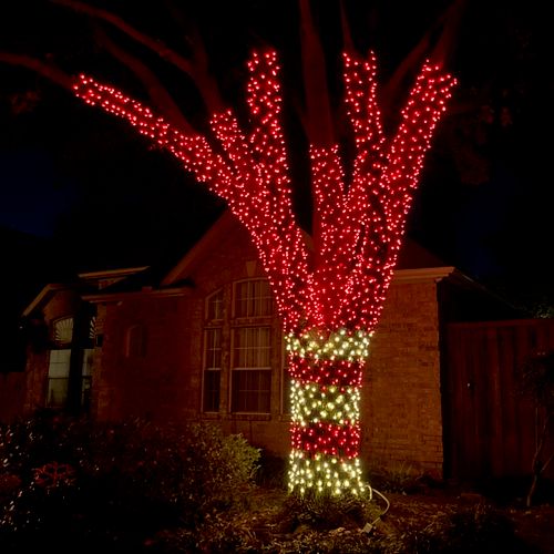 Willis installed Christmas lights for me and did a