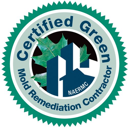 Mold Remediation Contractor