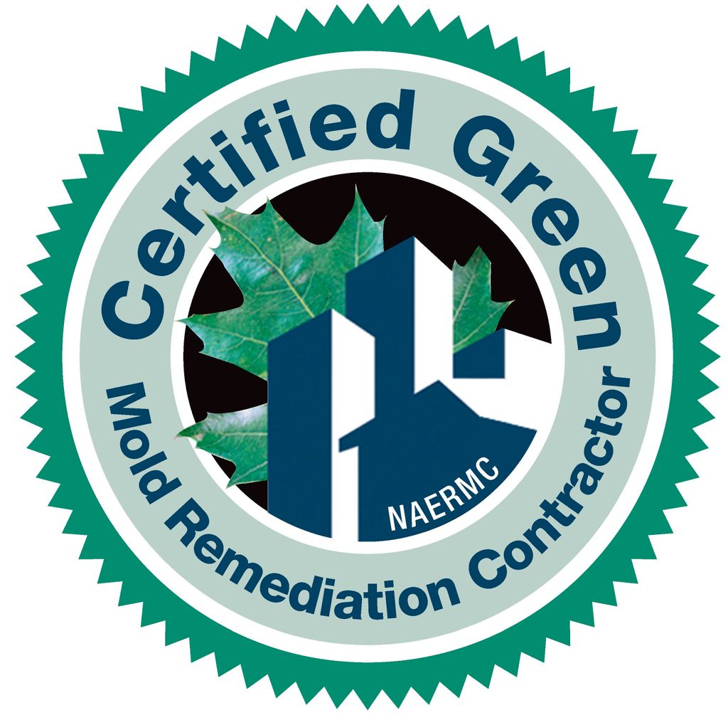 Mold Remediation Contractor