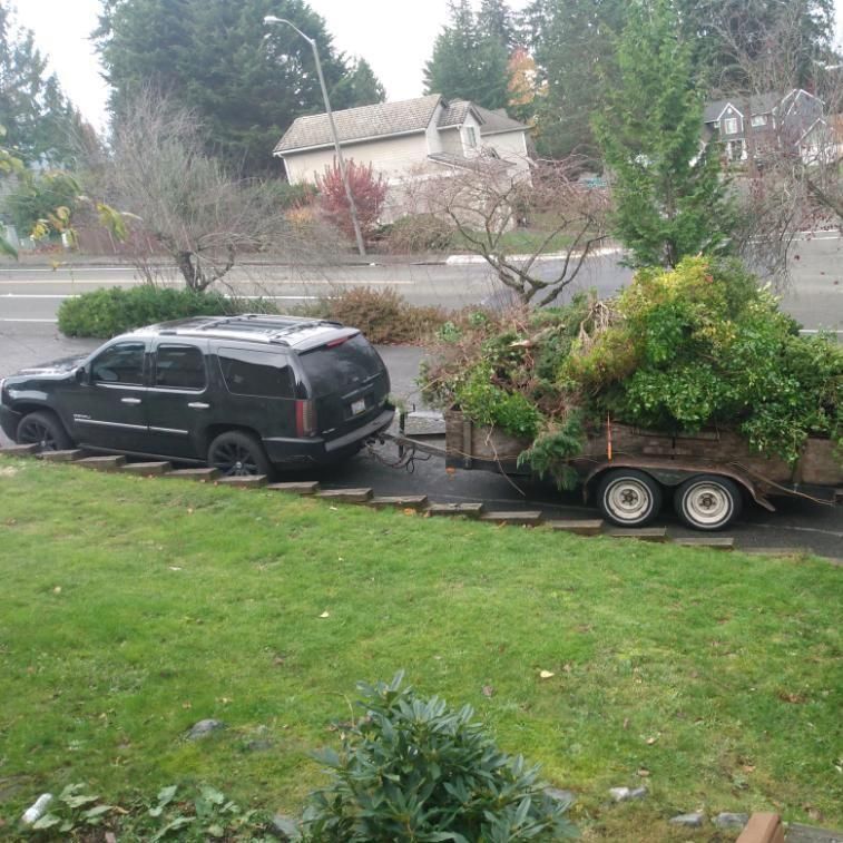 Lawn love care