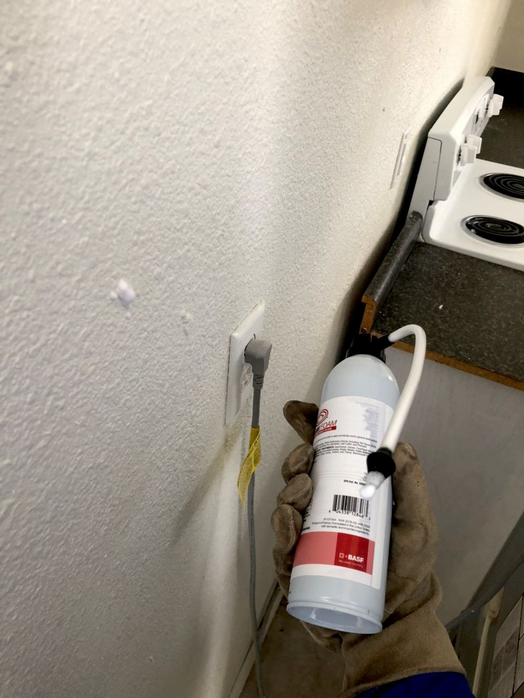 Foam wall termite treatment 