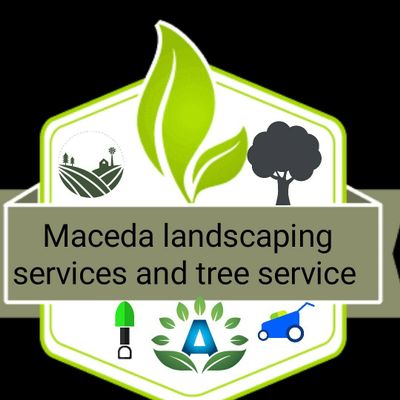 Avatar for Maceda landscaping service and tree services