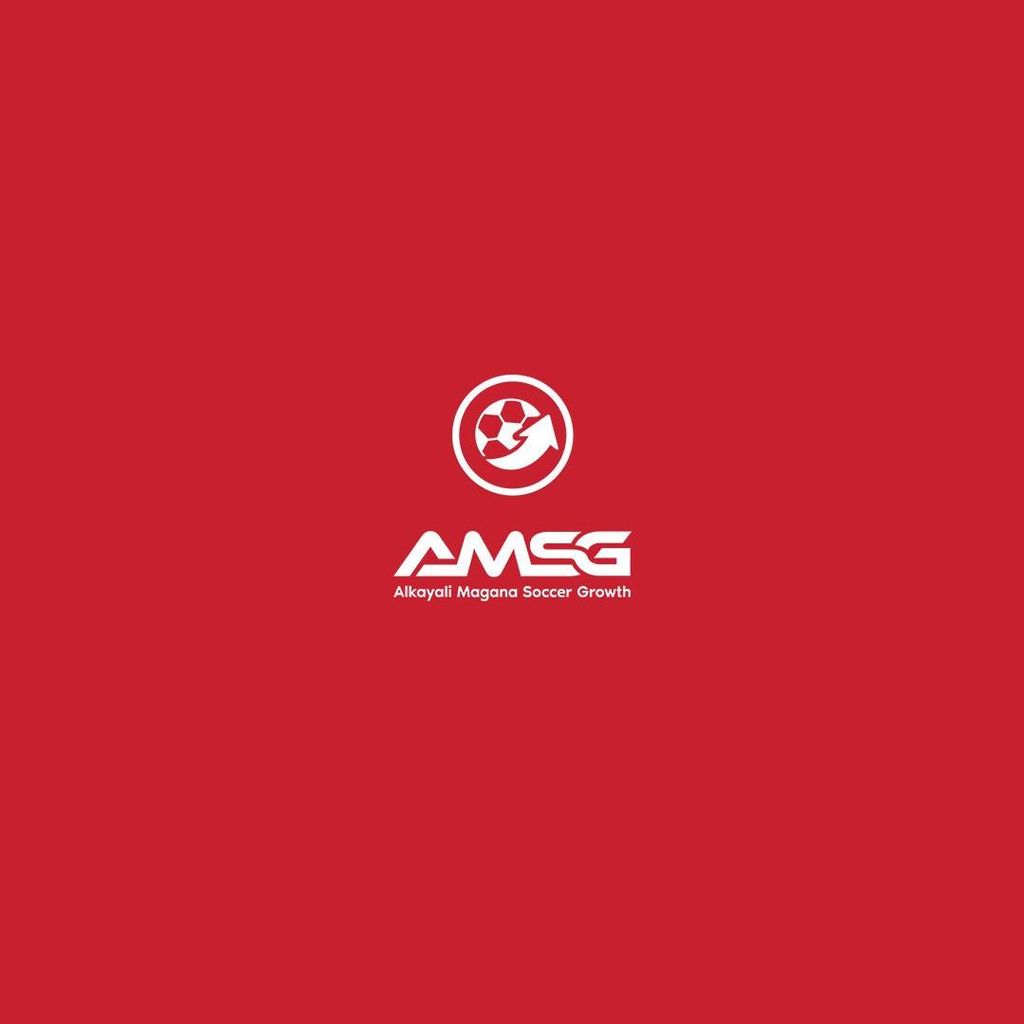 AMSG Elite LLC