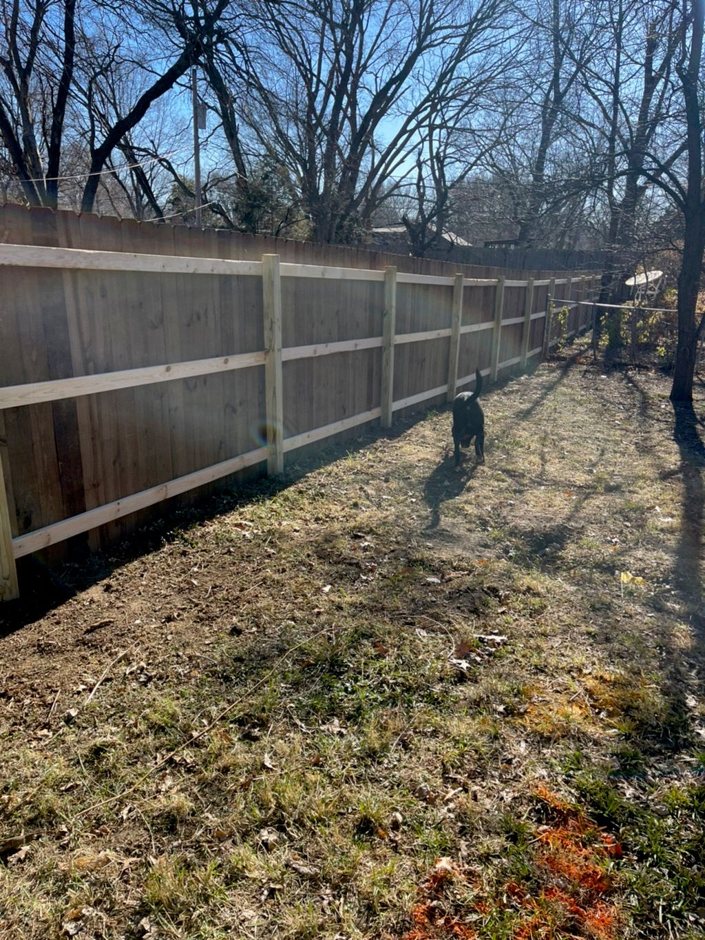 Customer photos