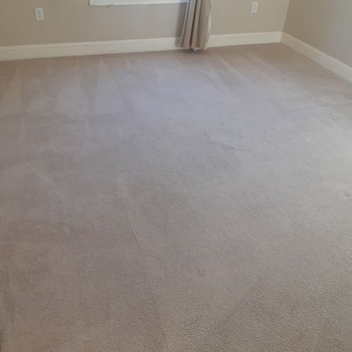 Got my carpet clean, good job!