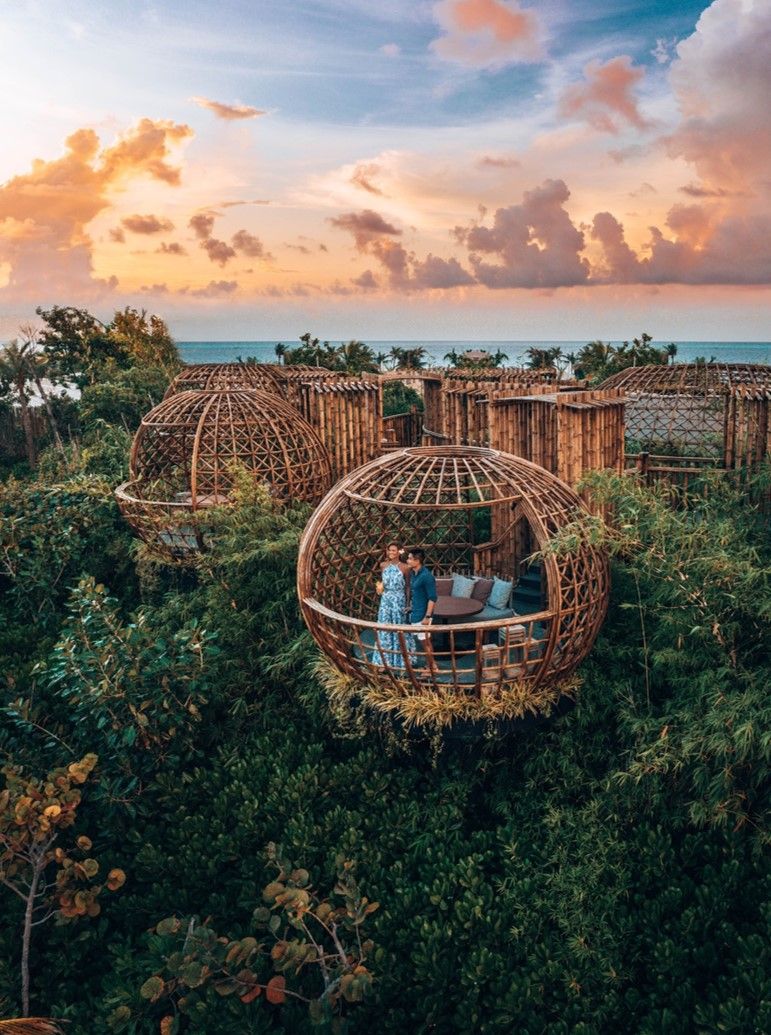 Treetop dining