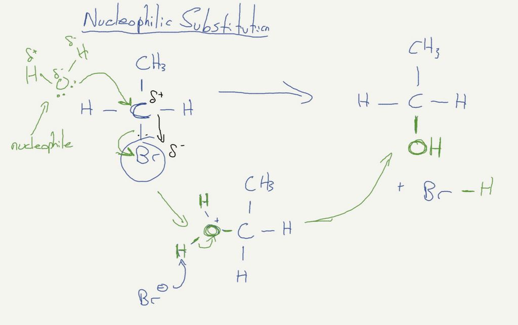 Lesson content giving a simple overview of the rea
