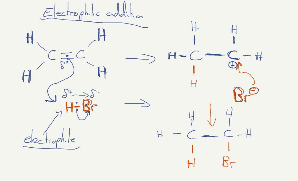 Lesson content giving a simple overview of the rea