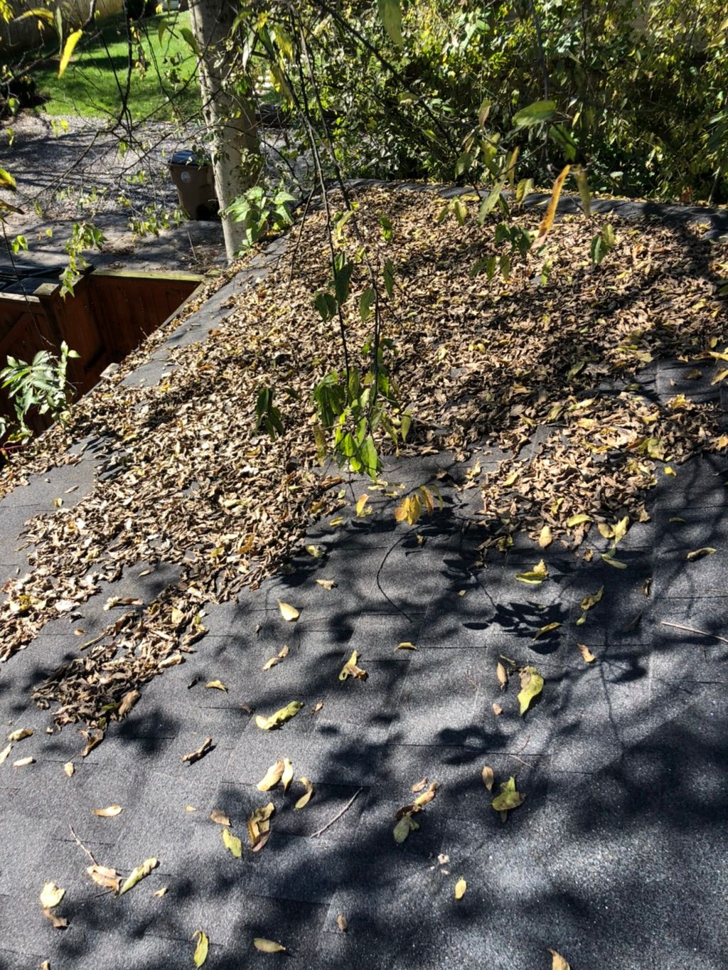 Gutter and roof cleaning before