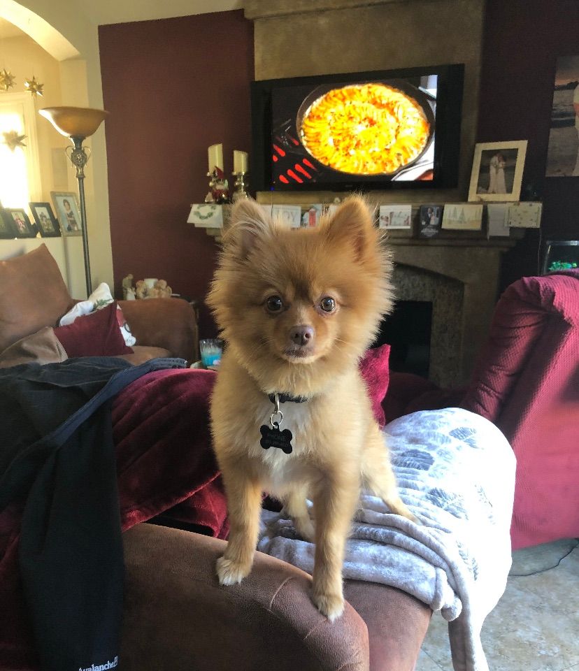 Customer photos