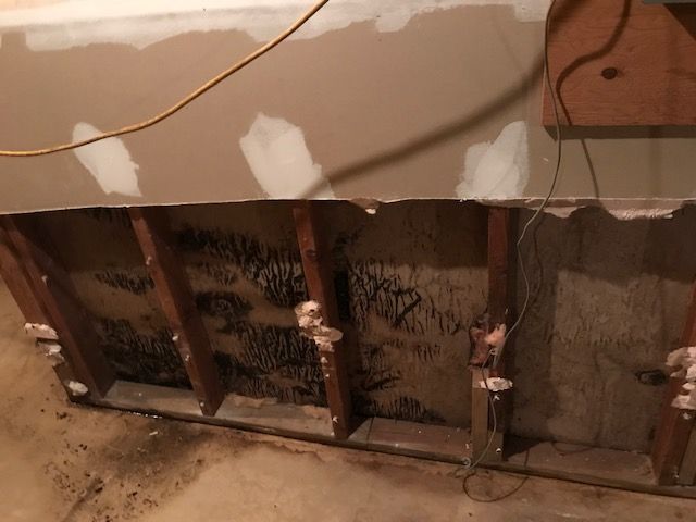 Mold behind the wall.  What's behind your walls?