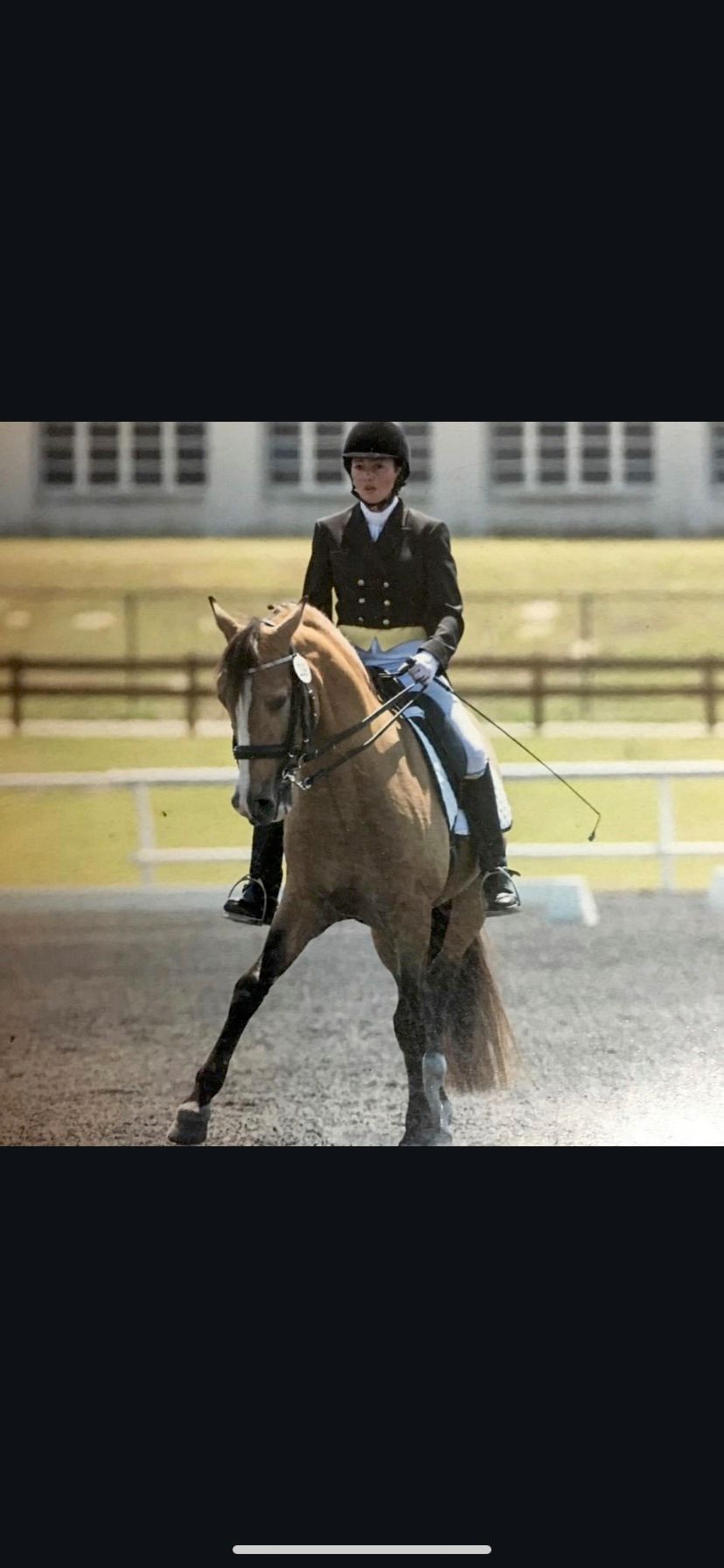 VTK dressage