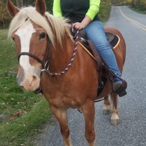 Private Horseback Riding Lessons