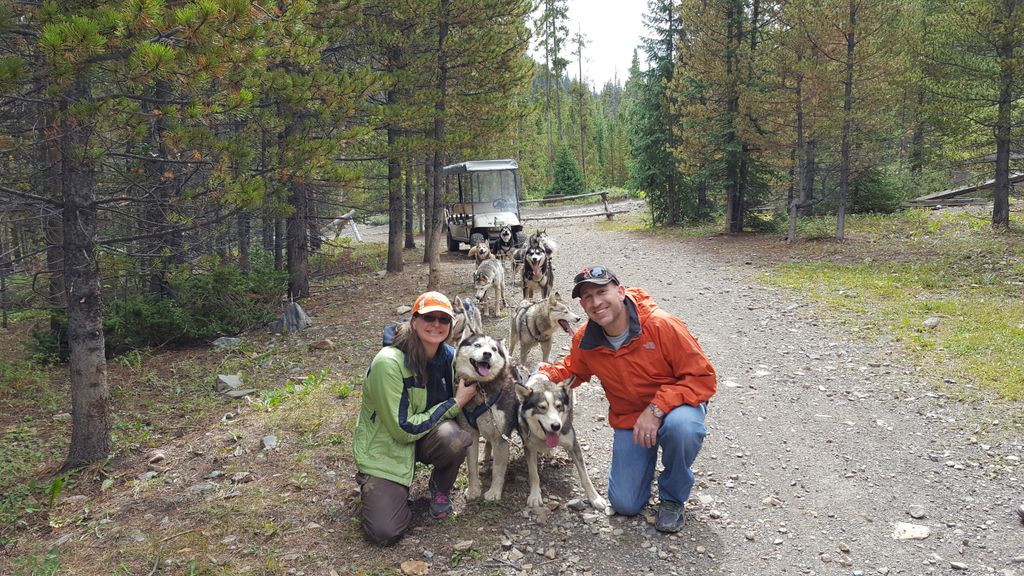 Dog sleddin' in the fall