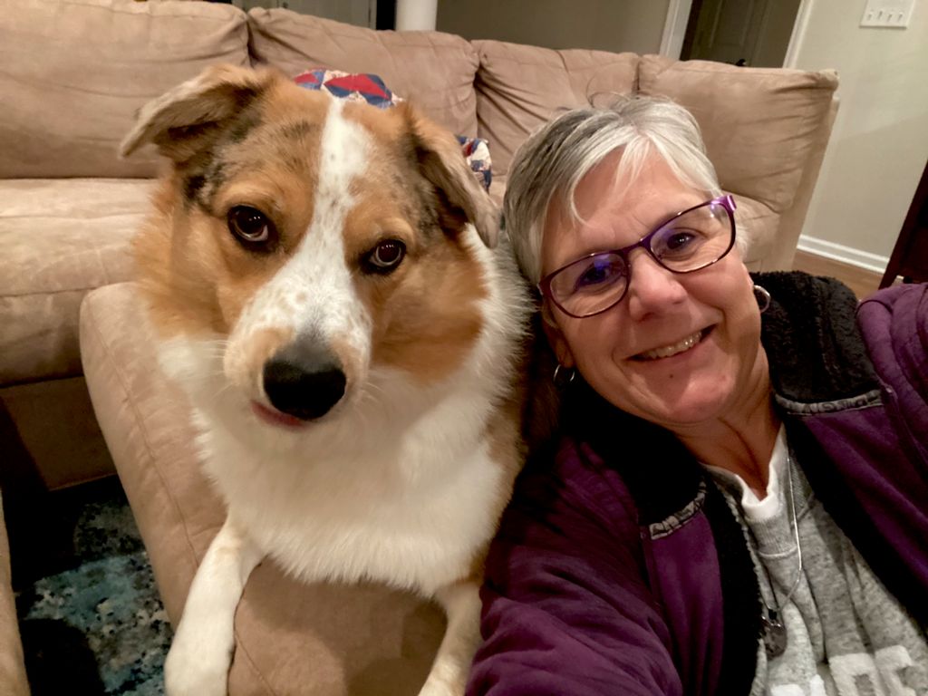 Waggs 2 Whiskers, LLC