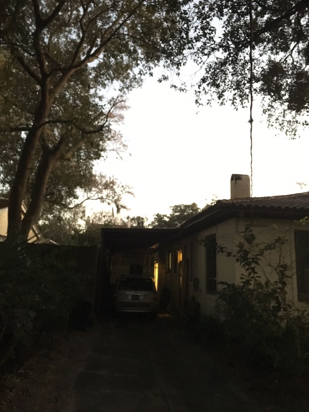 Completely trimmed to property line 