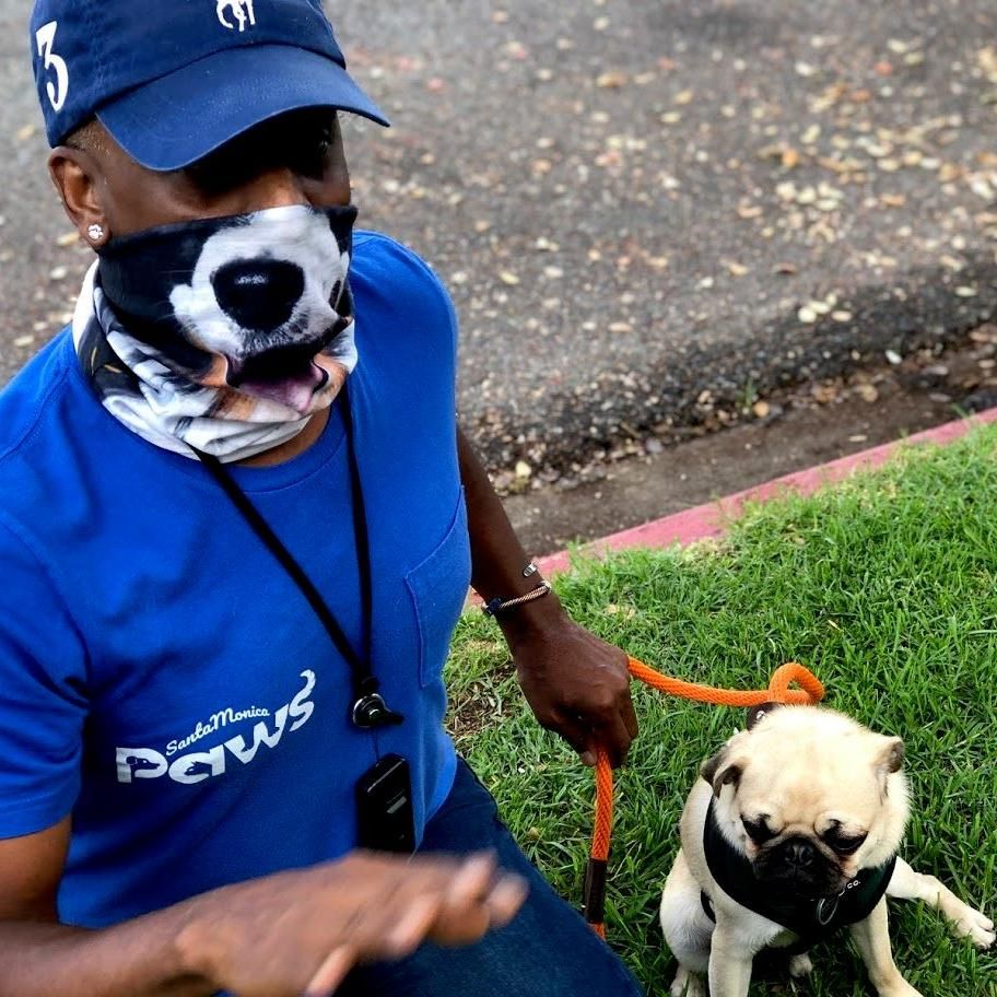 Santa Monica Paws Pet Concierge