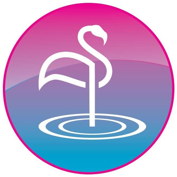 Pink Flamingo Pool Company