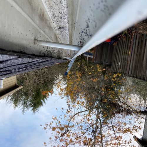 They cleaned my gutters and downspouts, send me ph