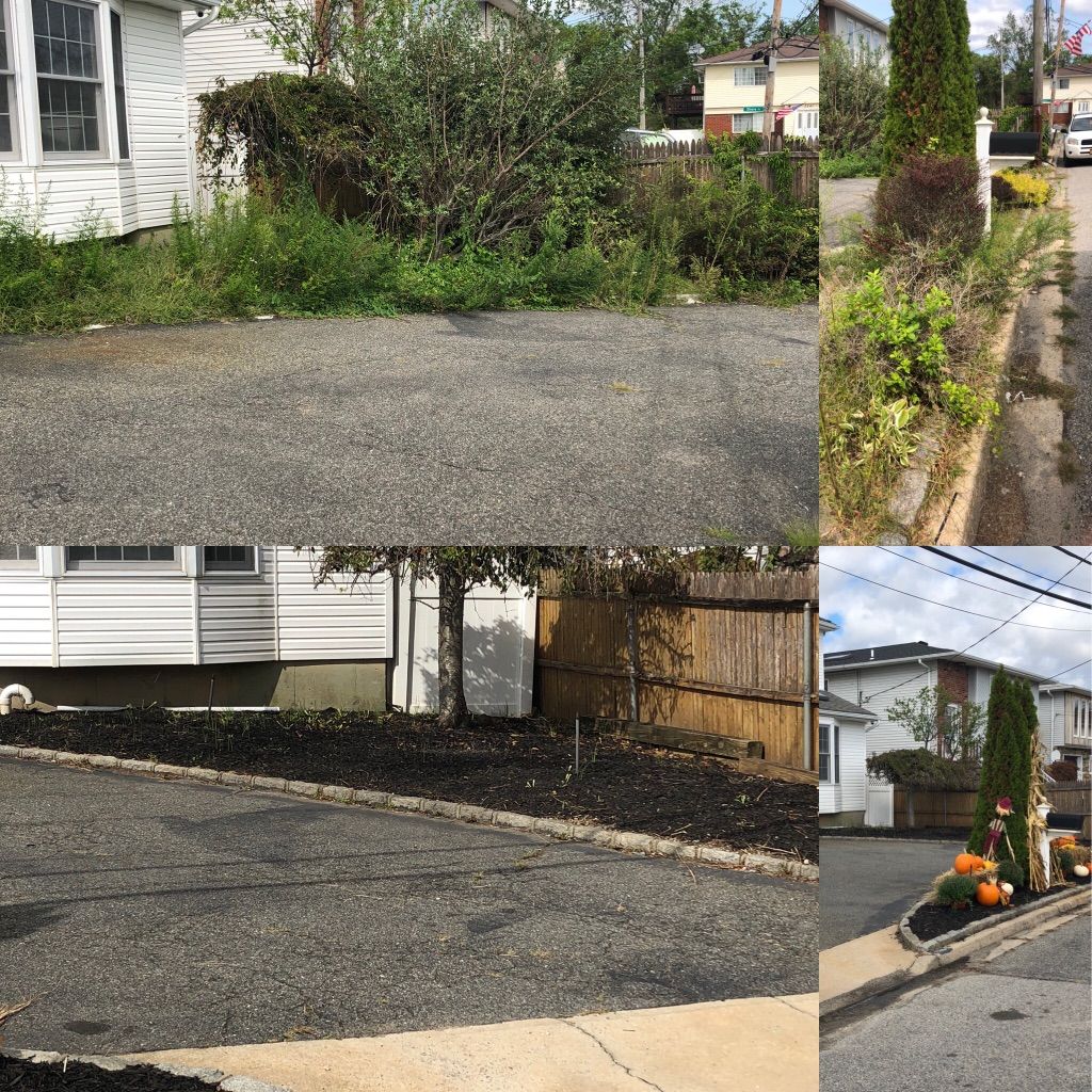 Weeding and mulch install in S. Seaford