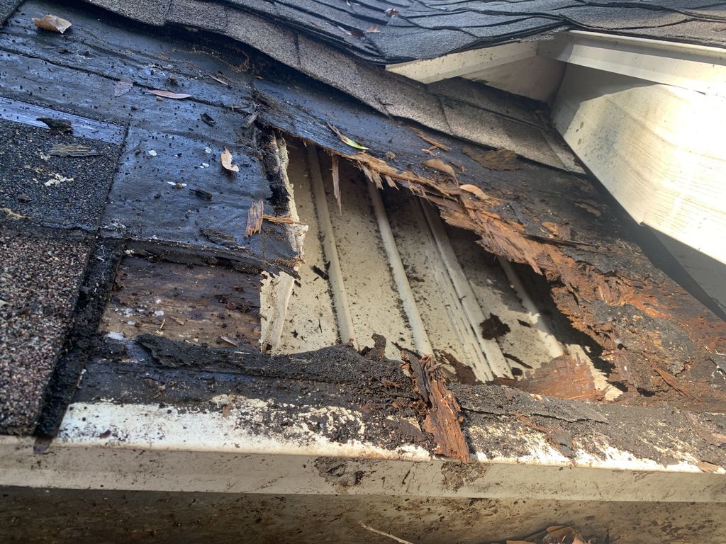 Roof Repair or Maintenance