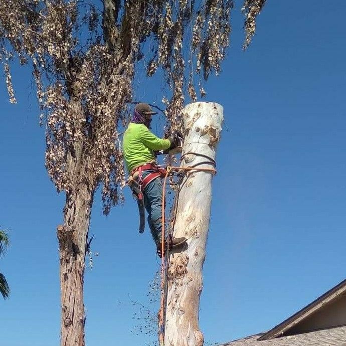 2 brothers tree and junk removal