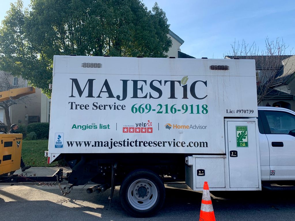 Majestic Tree Service