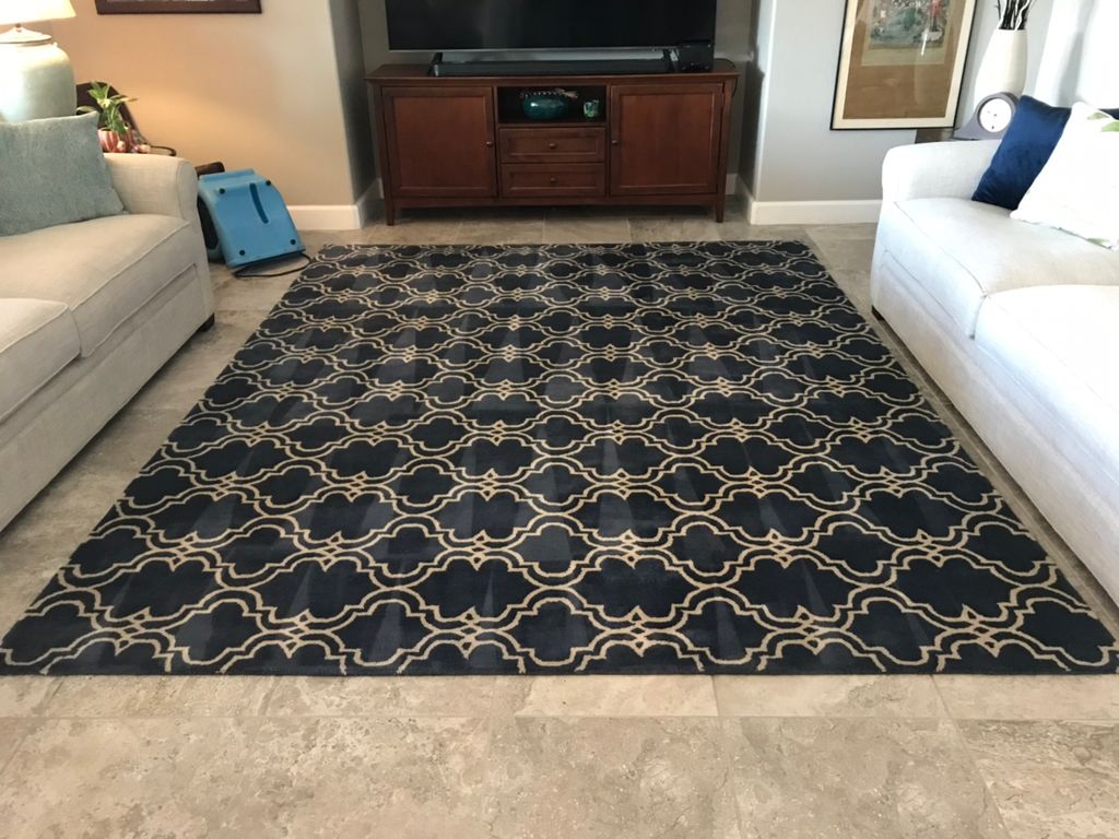 Wool rug after cleaning with air mover to expedite