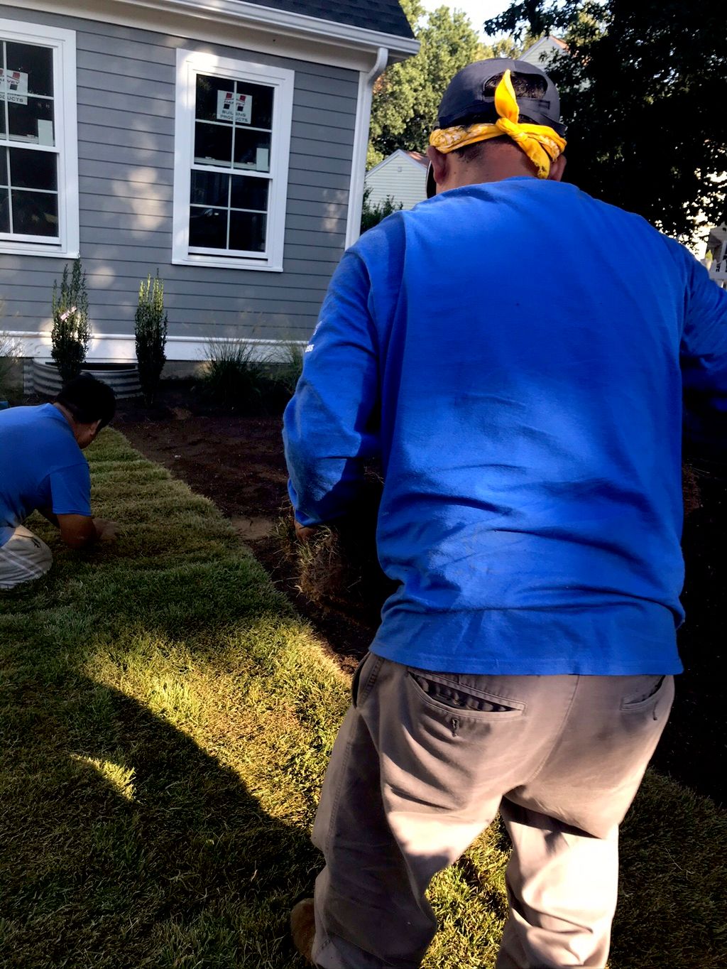 Sod installation in a house for sale 
