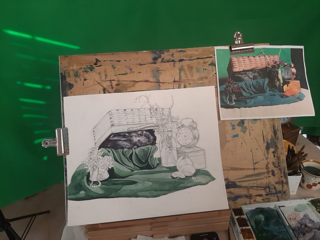 Projects and media