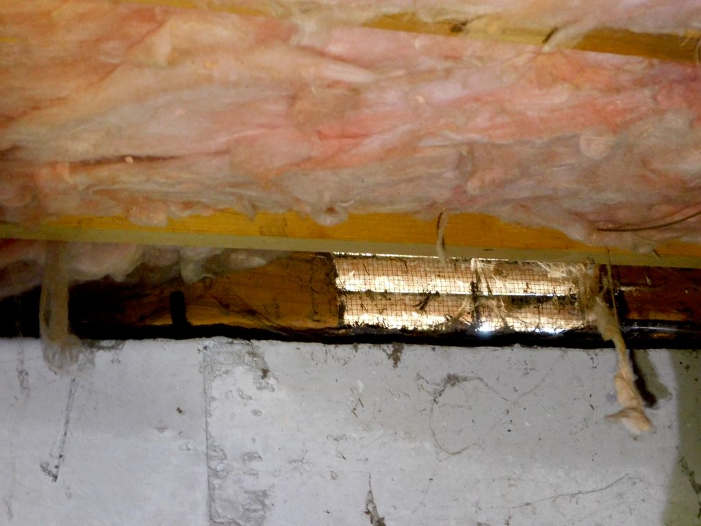 Crawlspace insulation